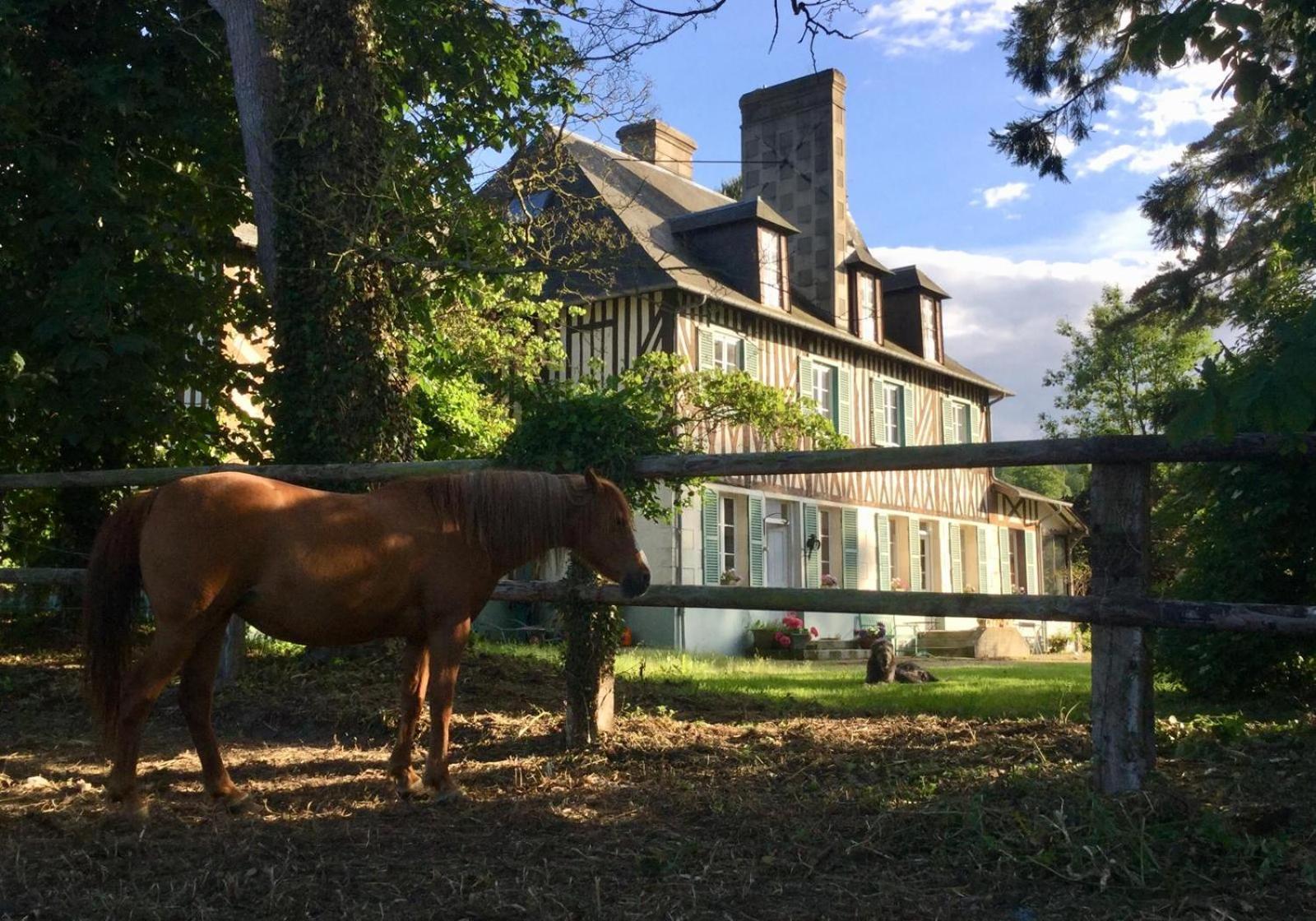 Le Domaine Lieu Bill, Normandie Blonville-sur-Mer Exteriör bild