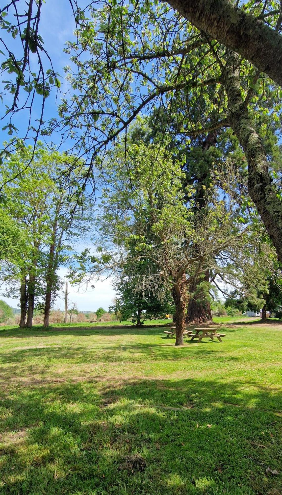 Le Domaine Lieu Bill, Normandie Blonville-sur-Mer Exteriör bild